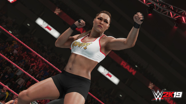 wwe-2k19-digital-deluxe-edition-free-download-pc-game-1