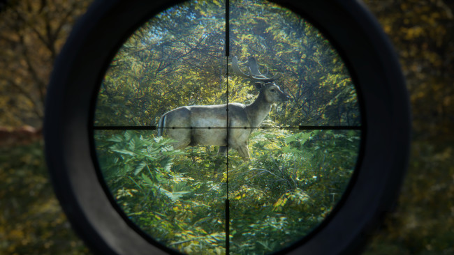 thehunter-call-of-the-wild-complete-collection-pc-download-free-with-all-dlcs-1