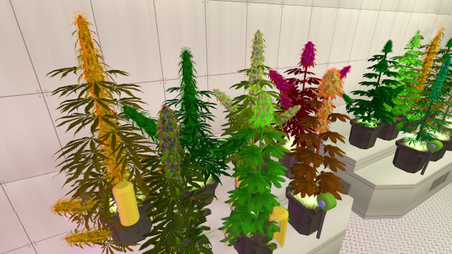 weed-shop-2-free-download-pc-game-2