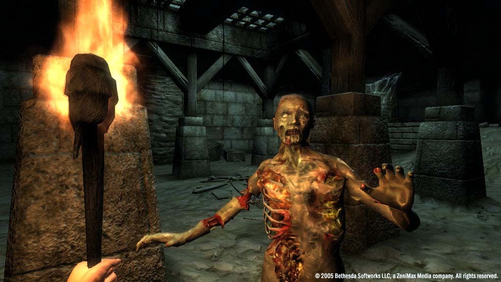 the-elder-scrolls-iv-oblivion-game-of-the-year-edition-free-download-pc-game-2